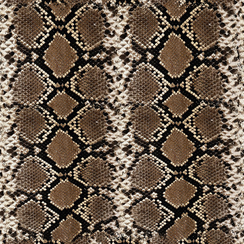 Snakeskin Patterns