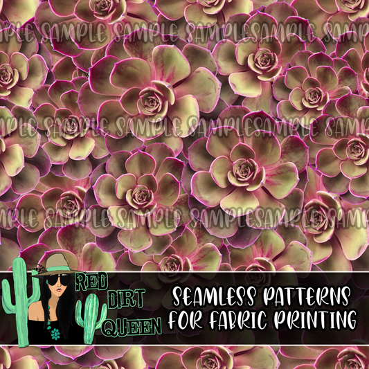 Seamless Pattern Pink Succulents